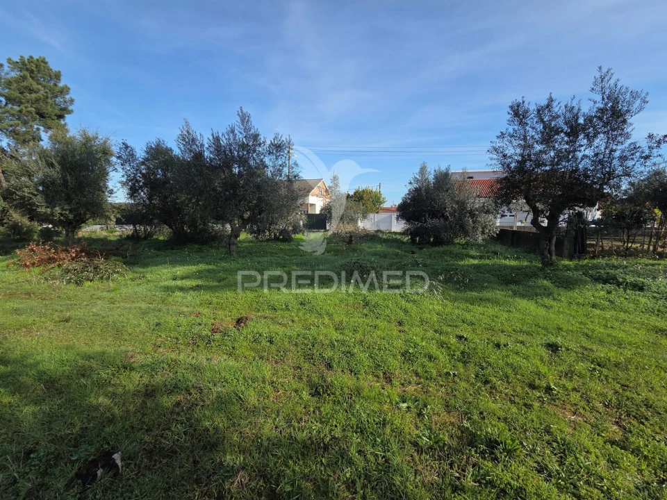 Terreno para Venda em Praia do Ribatejo Foto 11