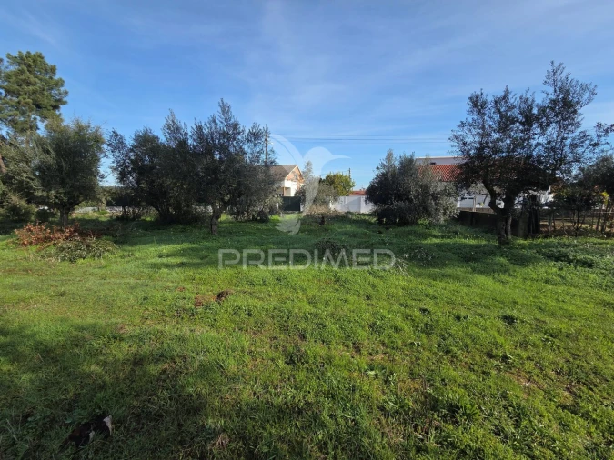 Terreno para Venda em Praia do Ribatejo Foto 11