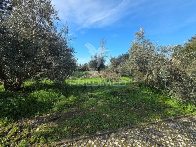 Terreno para Venda em Praia do Ribatejo Foto 6