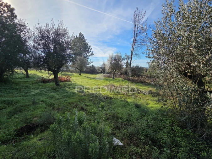 Terreno para Venda em Praia do Ribatejo Foto 17