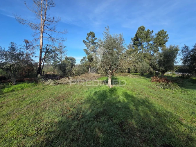 Terreno para Venda em Praia do Ribatejo Foto 12