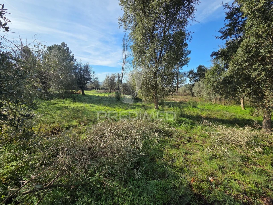 Terreno para Venda em Praia do Ribatejo Foto 8