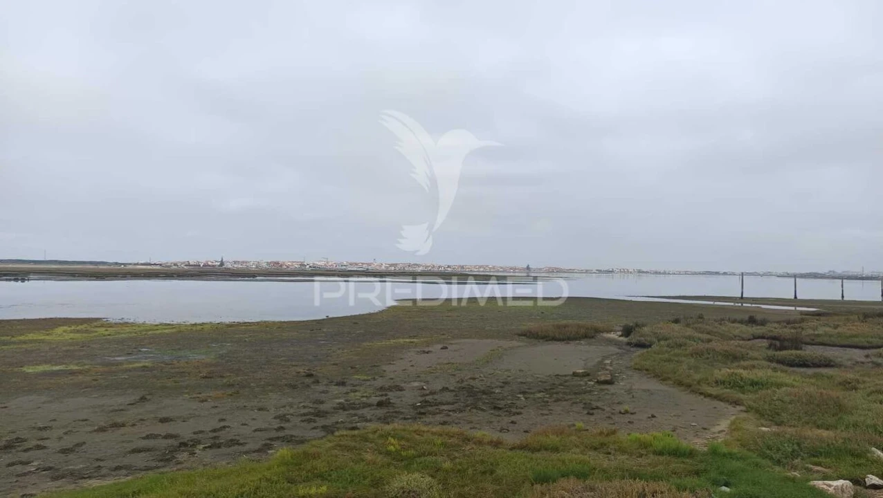 Terreno para Venda em Gafanha da Encarnação Foto 5