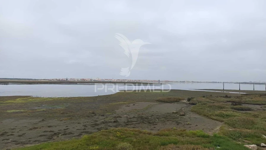 Terreno para Venda em Gafanha da Encarnação Foto 5