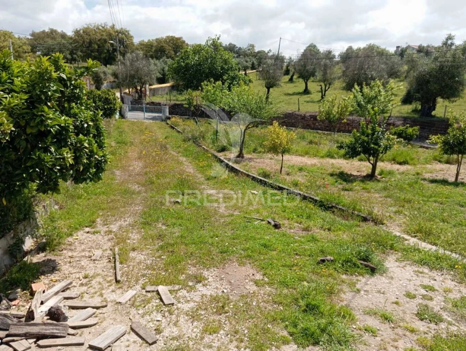 Terreno para Venda em Urra Foto 2