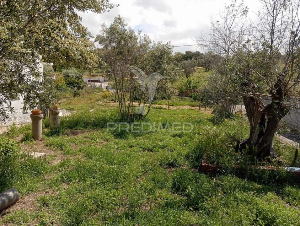 Terreno para Venda em Urra Foto 3