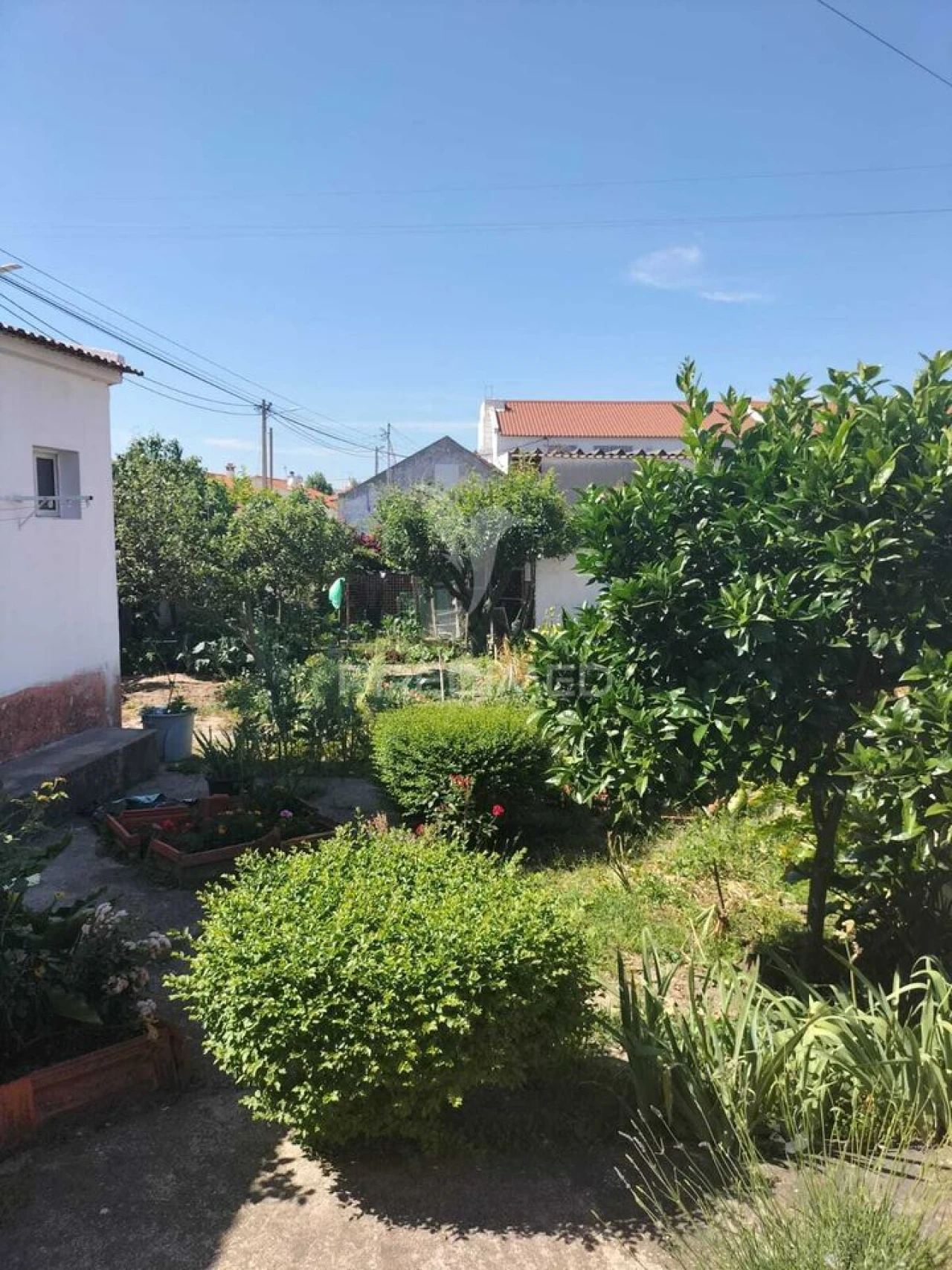 Quinta T9 para Venda em Poceirão e Marateca Foto 9