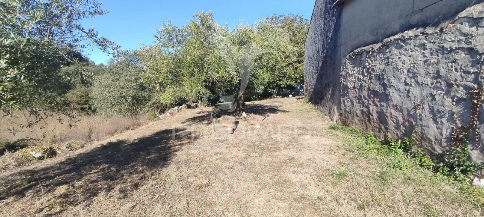 Moradia T3 para Venda em São Mamede Foto 11