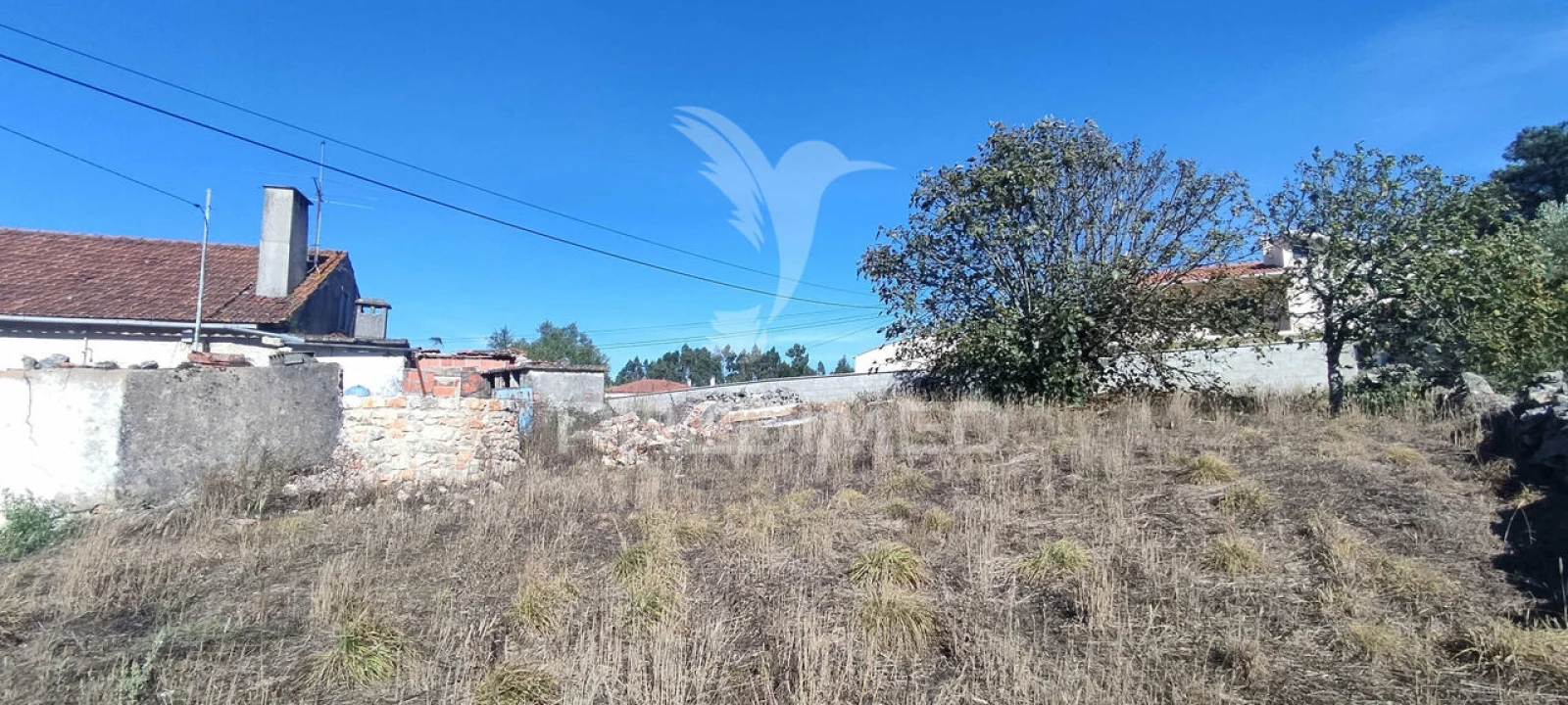 Moradia T3 para Venda em São Mamede Foto 9