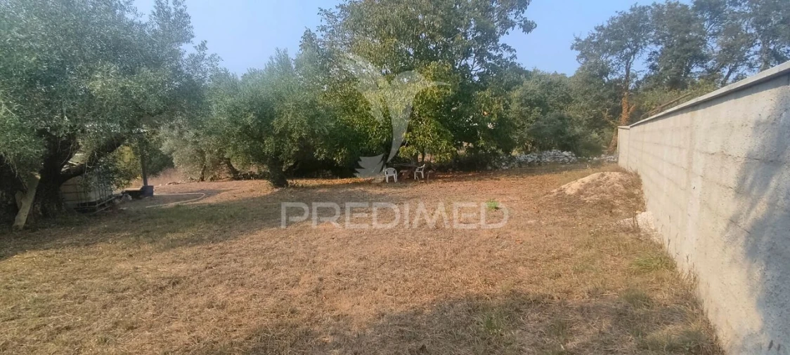 Moradia T3 para Venda em São Mamede Foto 17