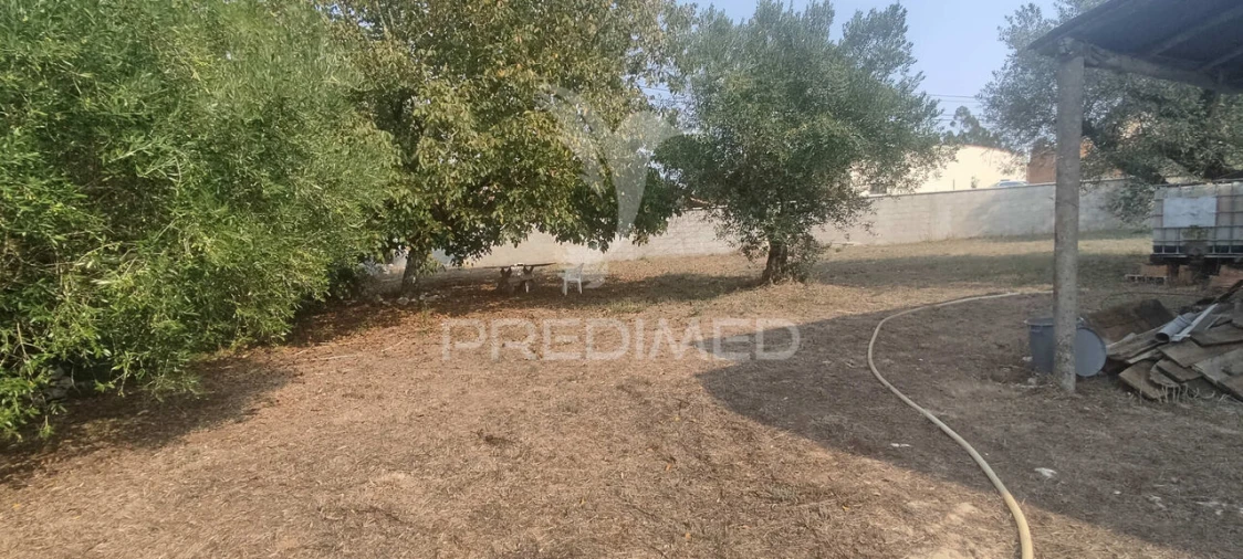 Moradia T3 para Venda em São Mamede Foto 16