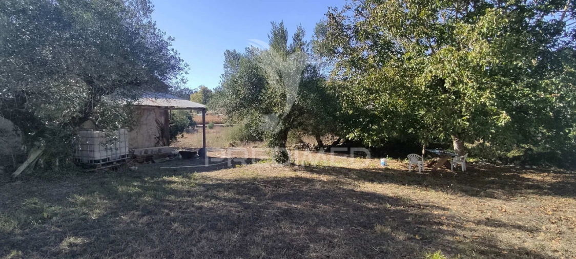 Moradia T3 para Venda em São Mamede Foto 14