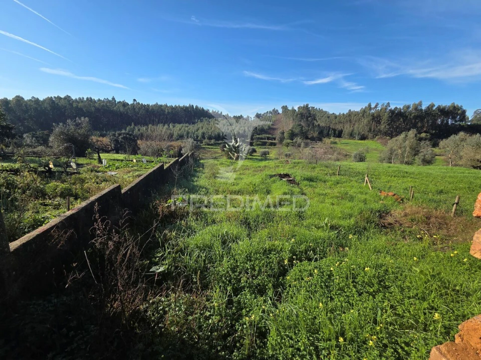 Moradia T2 para Venda em Praia do Ribatejo Foto 9