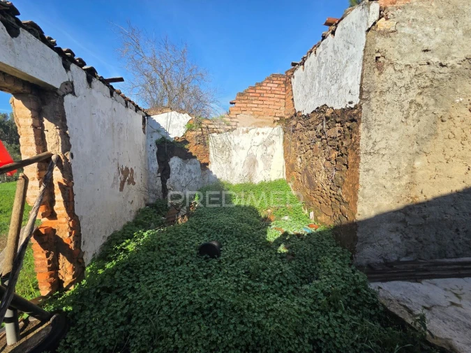 Moradia T2 para Venda em Praia do Ribatejo Foto 5