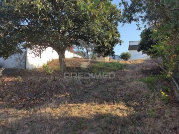 Terreno para Venda em Nossa Senhora das Misericordias