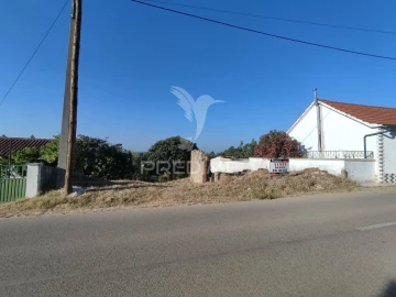 Terreno para Venda em Nossa Senhora das Misericordias