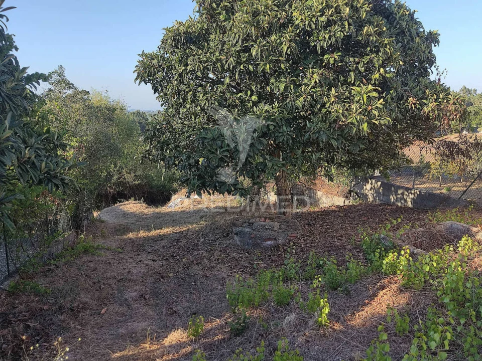 Terreno para Venda em Nossa Senhora das Misericordias Foto 5