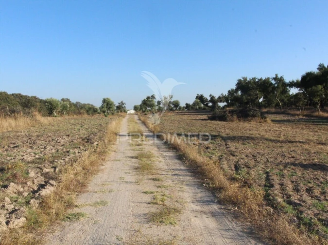 Quinta T2 para Venda em Pavia Foto 29