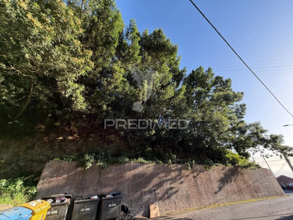 Terreno para Venda em Monte Foto 5