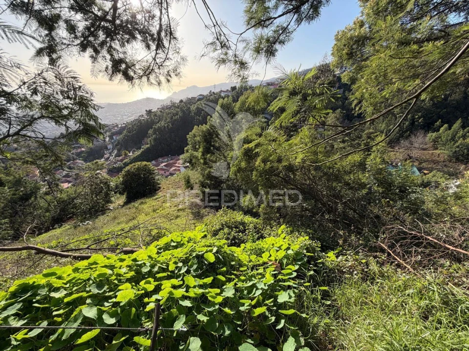 Terreno para Venda em Monte Foto 3