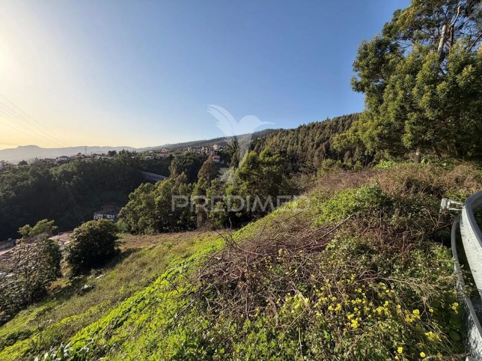 Terreno para Venda em Monte Foto 1