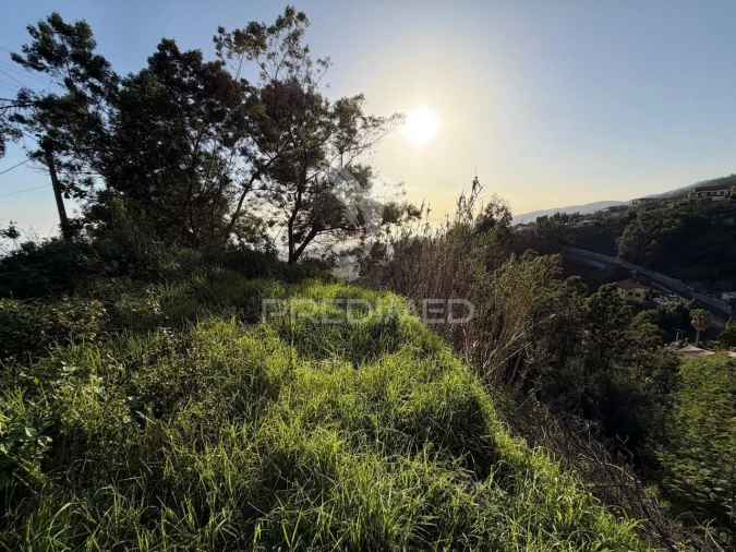 Terreno para Venda em Monte Foto 13