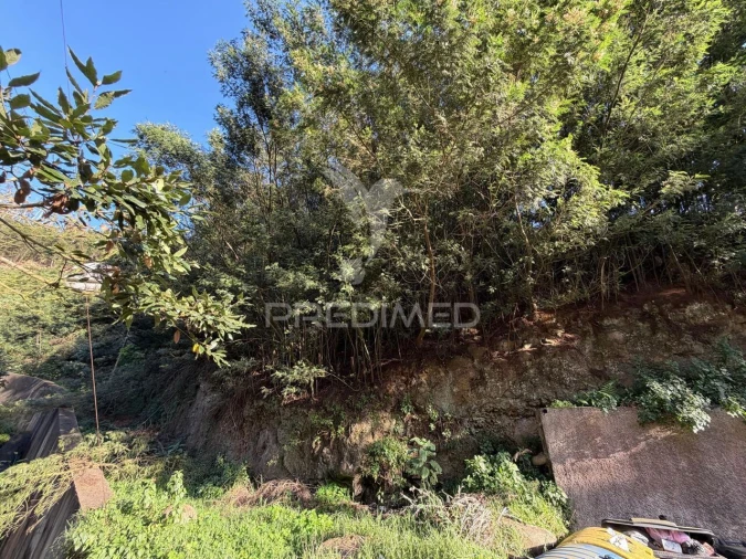 Terreno para Venda em Monte Foto 6