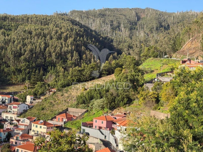Terreno para Venda em Monte Foto 10