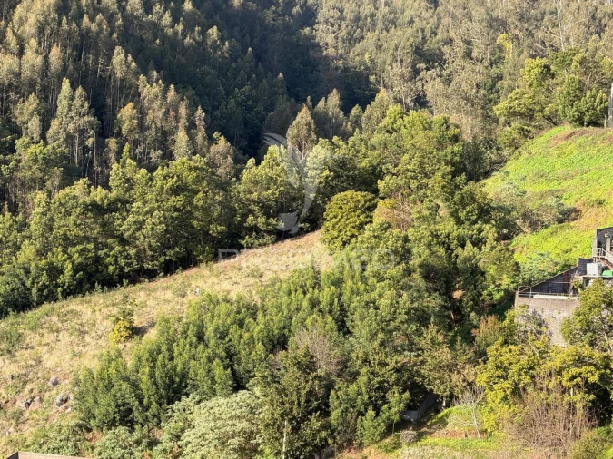 Terreno para Venda em Monte Foto 2