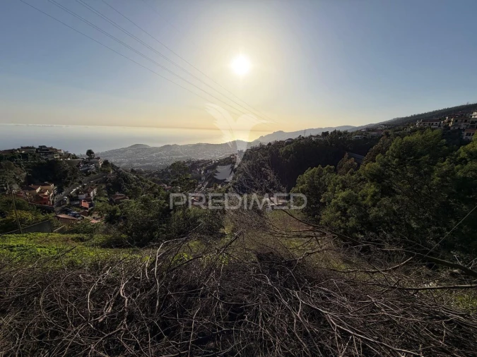 Terreno para Venda em Monte Foto 14