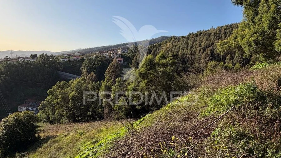 Terreno para Venda em Monte