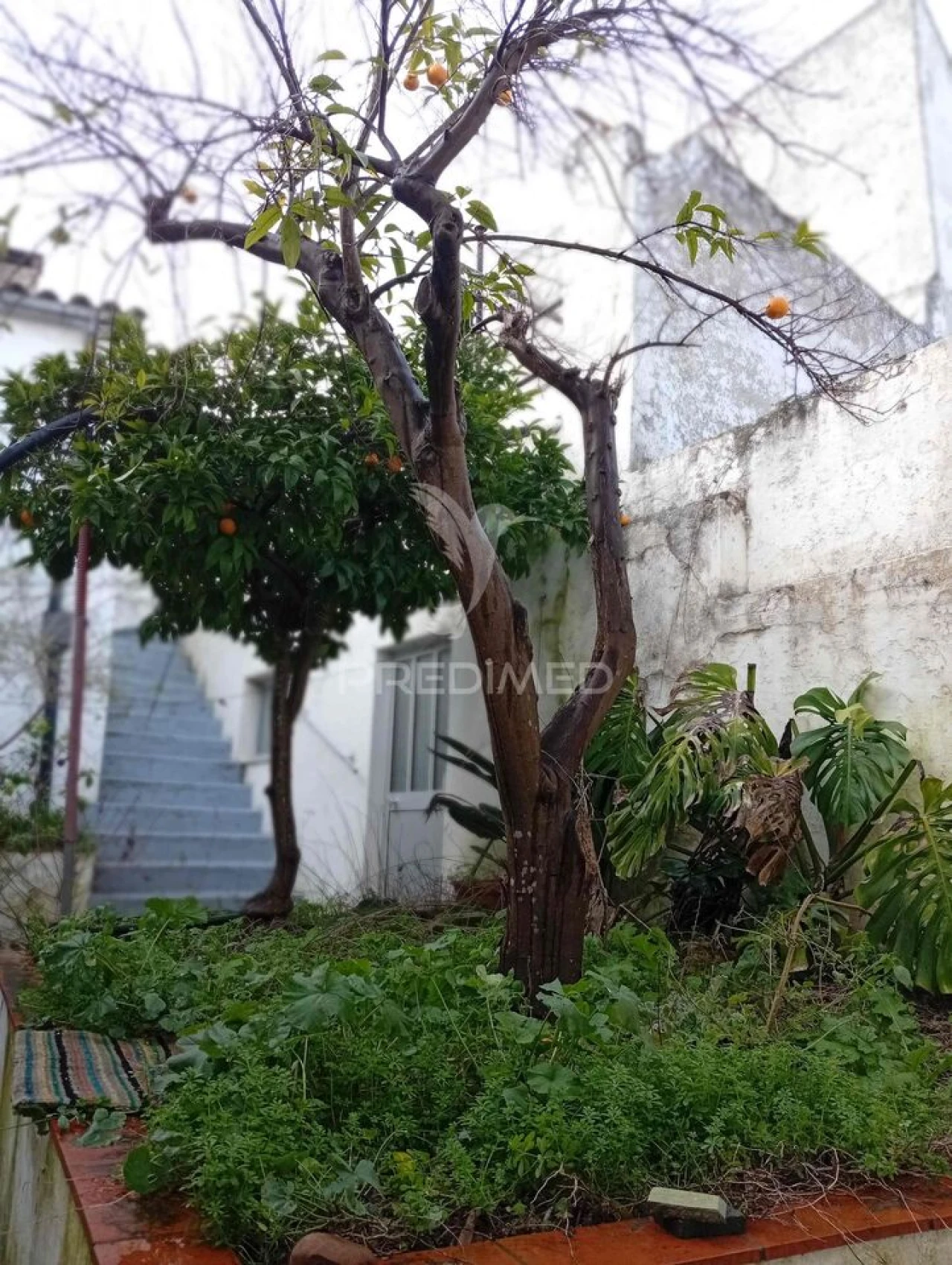 Moradia T2 para Venda em Redondo Foto 25