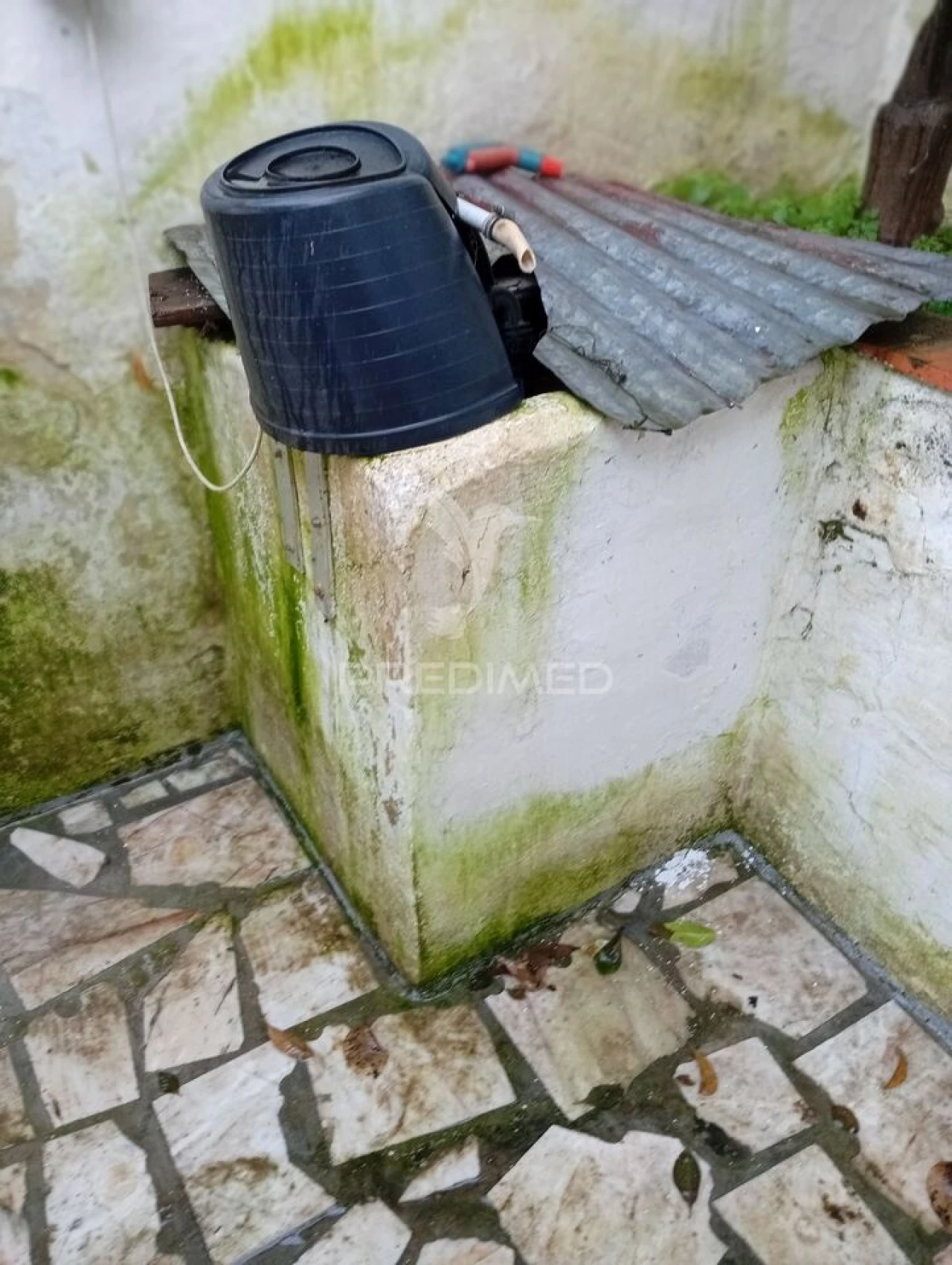 Moradia T2 para Venda em Redondo Foto 28