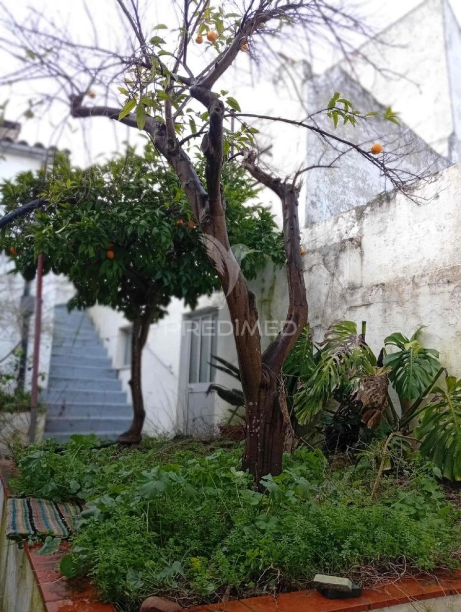 Moradia T2 para Venda em Redondo Foto 25