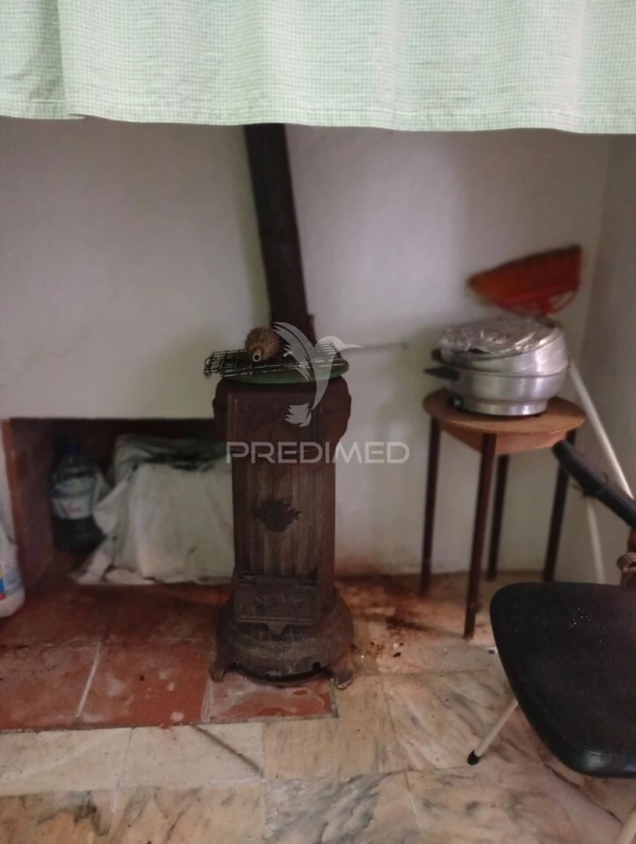 Moradia T2 para Venda em Redondo Foto 29