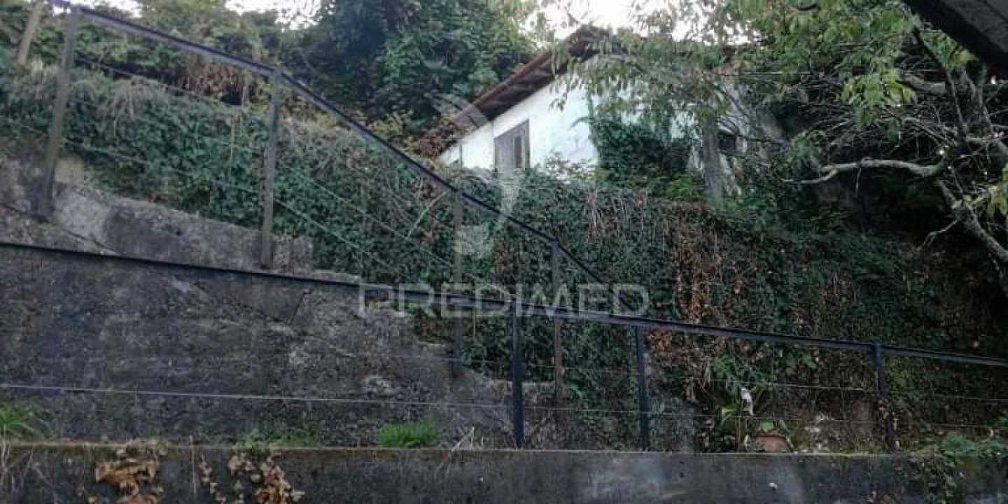 Quinta T3 para Venda em Roriz Foto 30