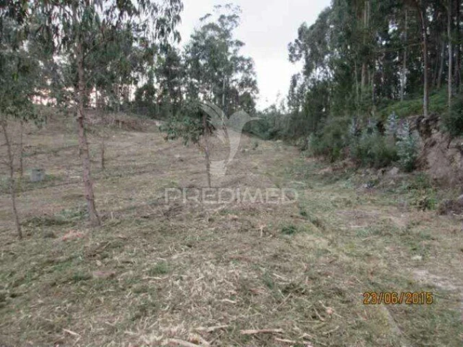 Terreno para Venda em Cesar Foto 2
