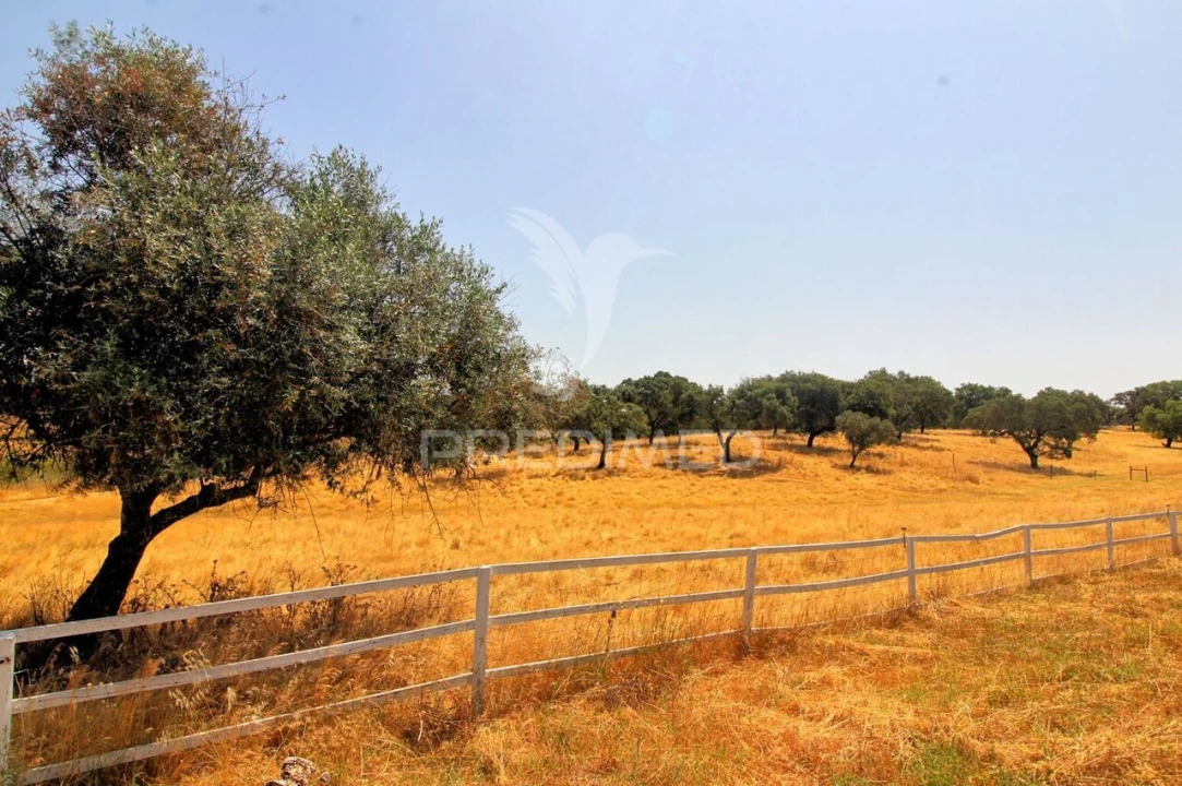 Quinta T6 para Venda em Pavia Foto 15