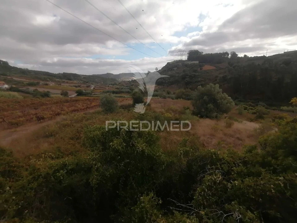 Terreno para Venda em Santo Quintino Foto 8