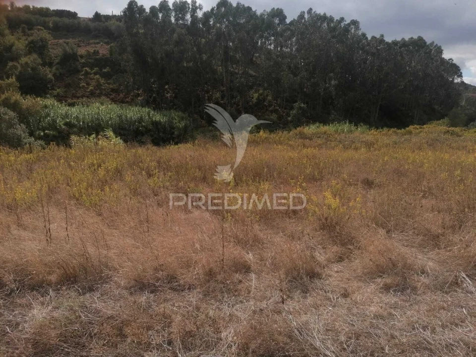 Terreno para Venda em Santo Quintino Foto 4