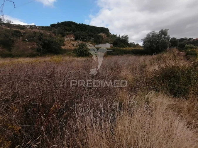 Terreno para Venda em Santo Quintino Foto 6