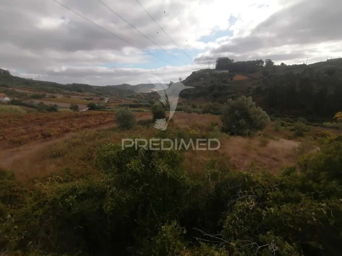 Terreno para Venda em Santo Quintino Foto 8