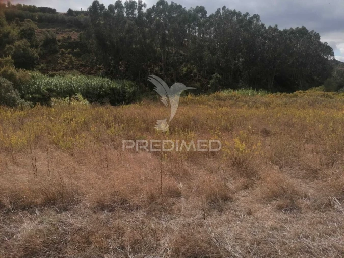 Terreno para Venda em Santo Quintino Foto 4