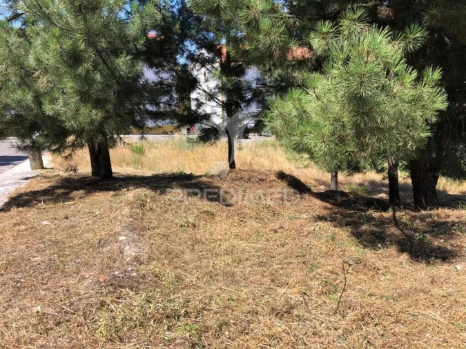 Terreno para Venda em Pego Foto 2