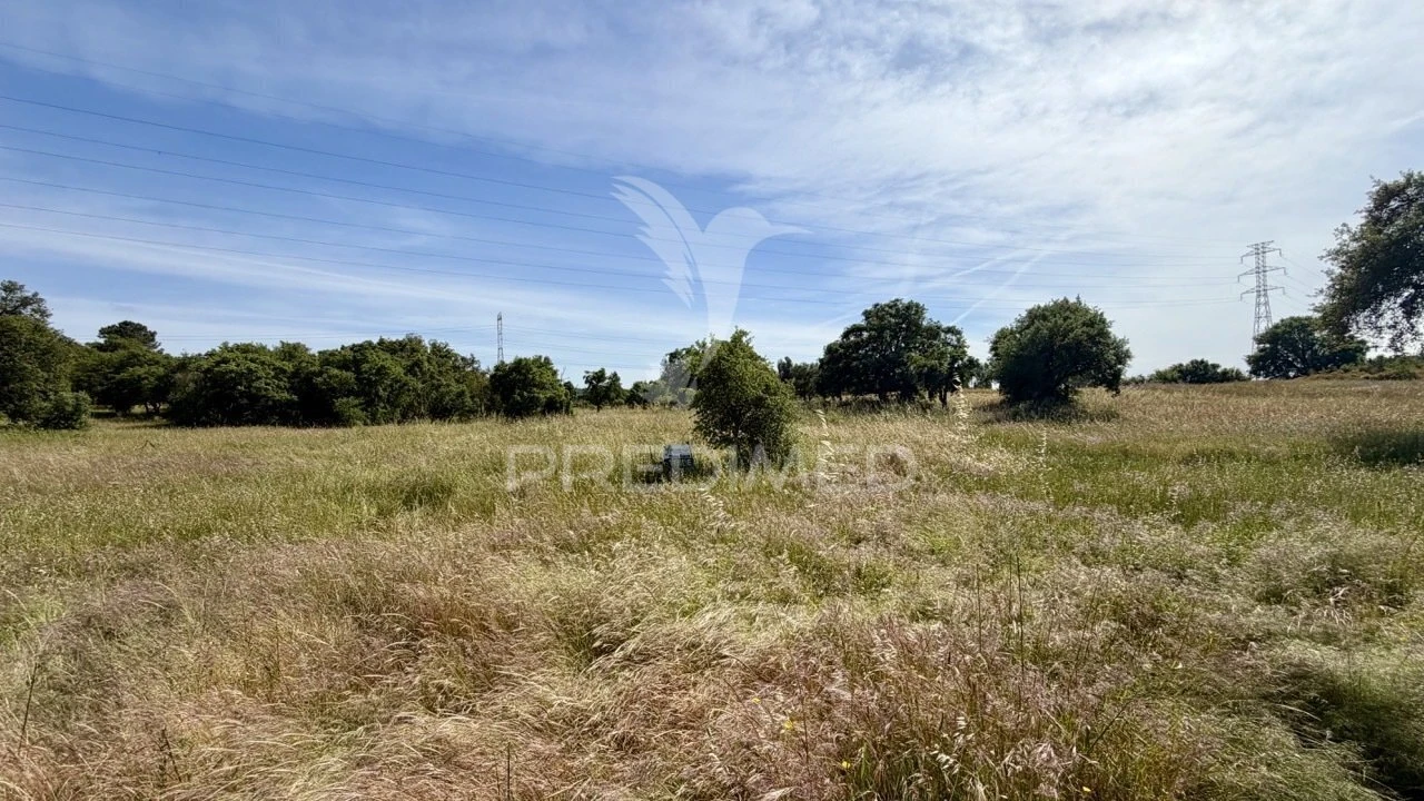 Terreno para Venda em Quinta do Anjo Foto 9