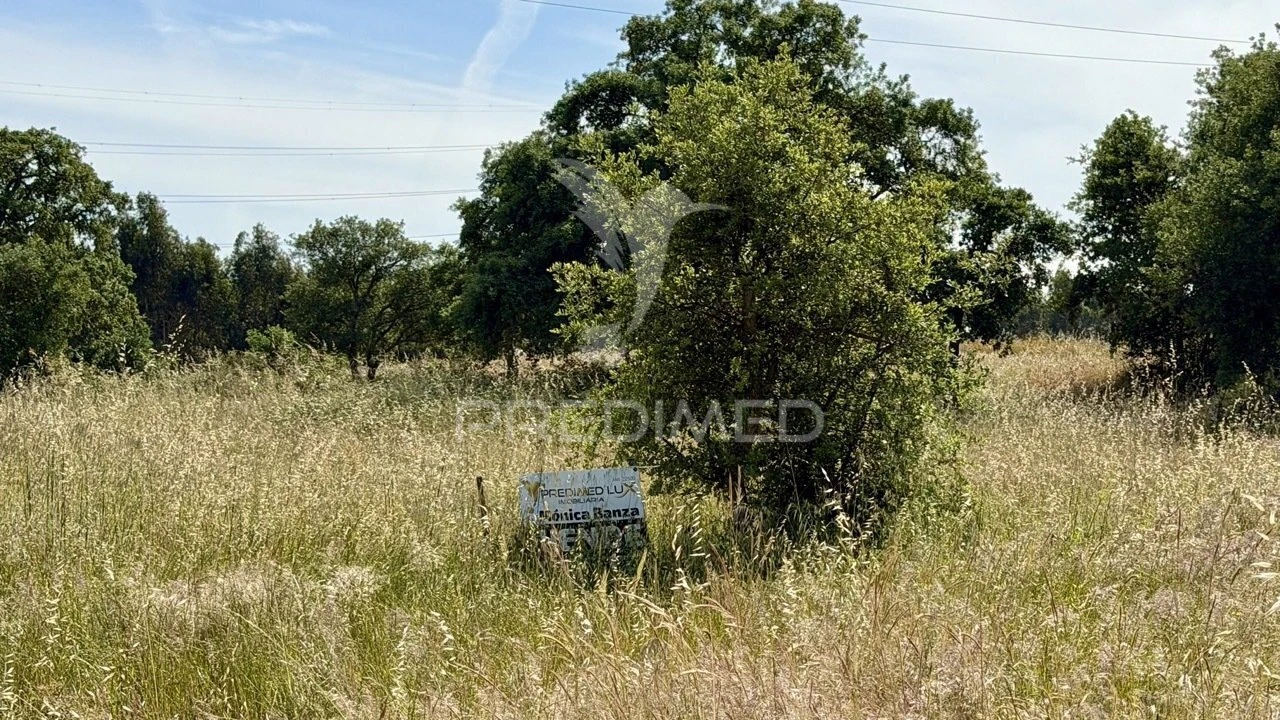 Terreno para Venda em Quinta do Anjo Foto 6
