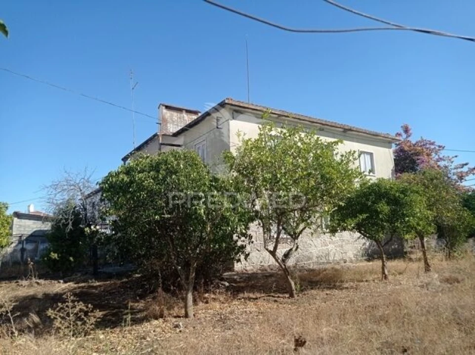 Moradia T6 para Venda em Avis Foto 6