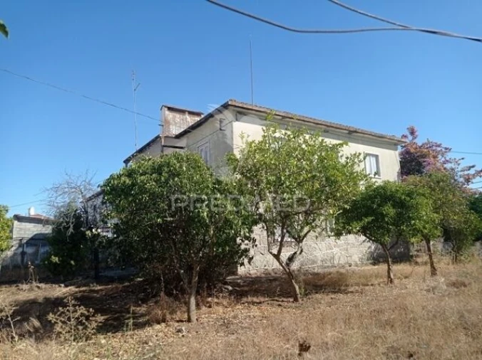 Moradia T6 para Venda em Avis Foto 6