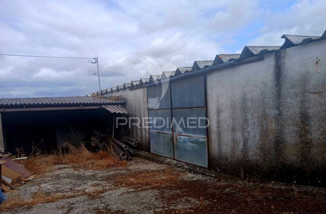 Armazém para Venda em Nossa Senhora das Neves Foto 9