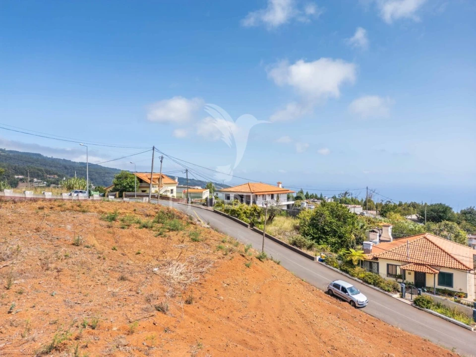 Terreno para Venda em Gaula Foto 9